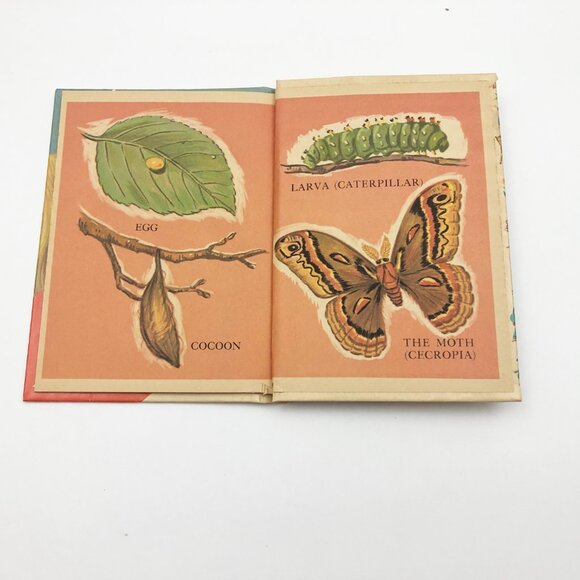 A Moth is Born by Herbert Walker 1967 Hardback - Picture 8 of 8